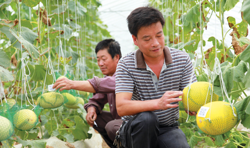 常用的食用农产品溯源方法有几种？