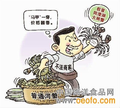 防伪锁扣为何难防冒牌大闸蟹（图）