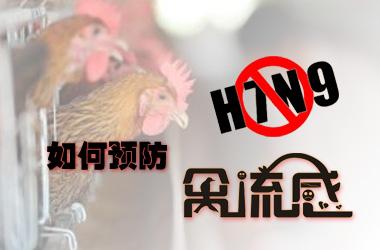 人感染H7N9禽流感病例数上升 专家：未出现变异