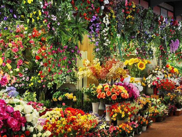 开花店需要多少钱-315防伪