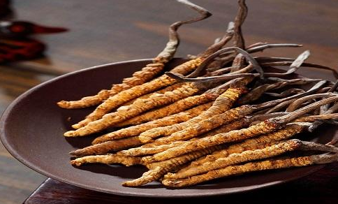 冬虫夏草多少钱 一斤