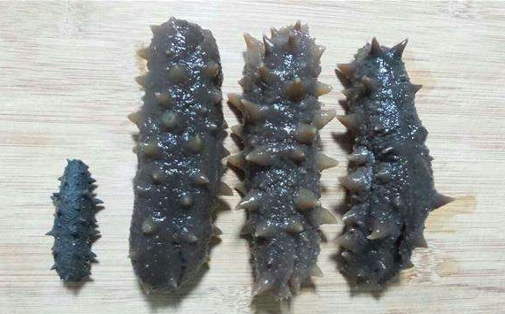 干海参多少钱一斤-315防伪价格网