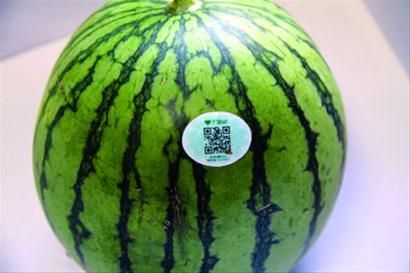 二维码防伪标签