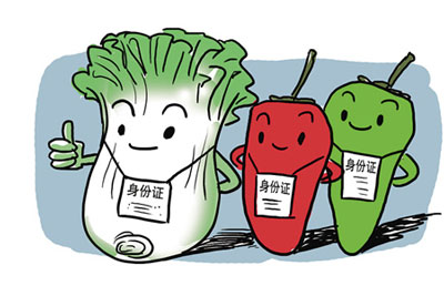 315防伪农产品质量追溯系统有哪些亮点？