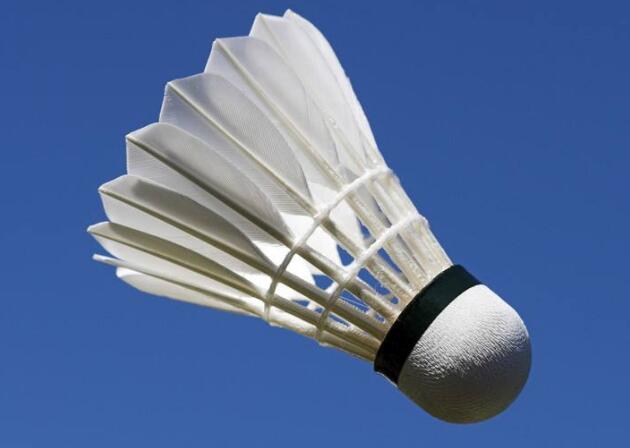 羽毛球拍防伪标签，体育用品防伪标签定制的优点