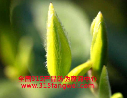 茶叶防伪标签定制